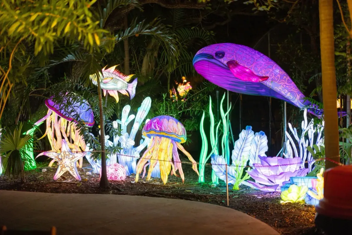 Luminosa: Miami Reimagined in Light — Jungle Island — official source image