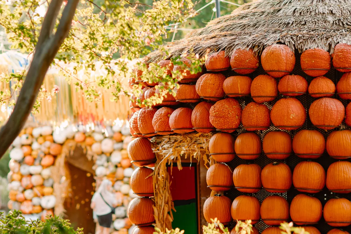 Autumn at the Arboretum — Harvest Hues 2026 — official source image