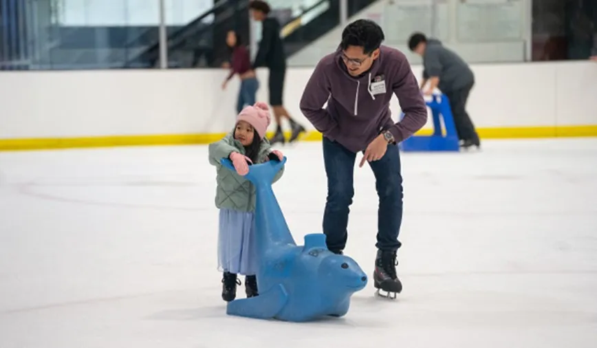 The Rinks – Anaheim ICE — official source image