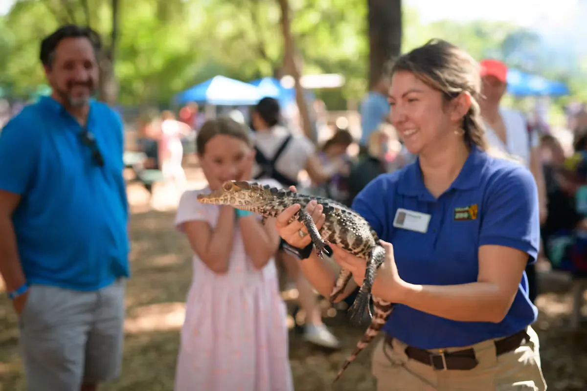 Dallas Zoo Backstage Safari — program image