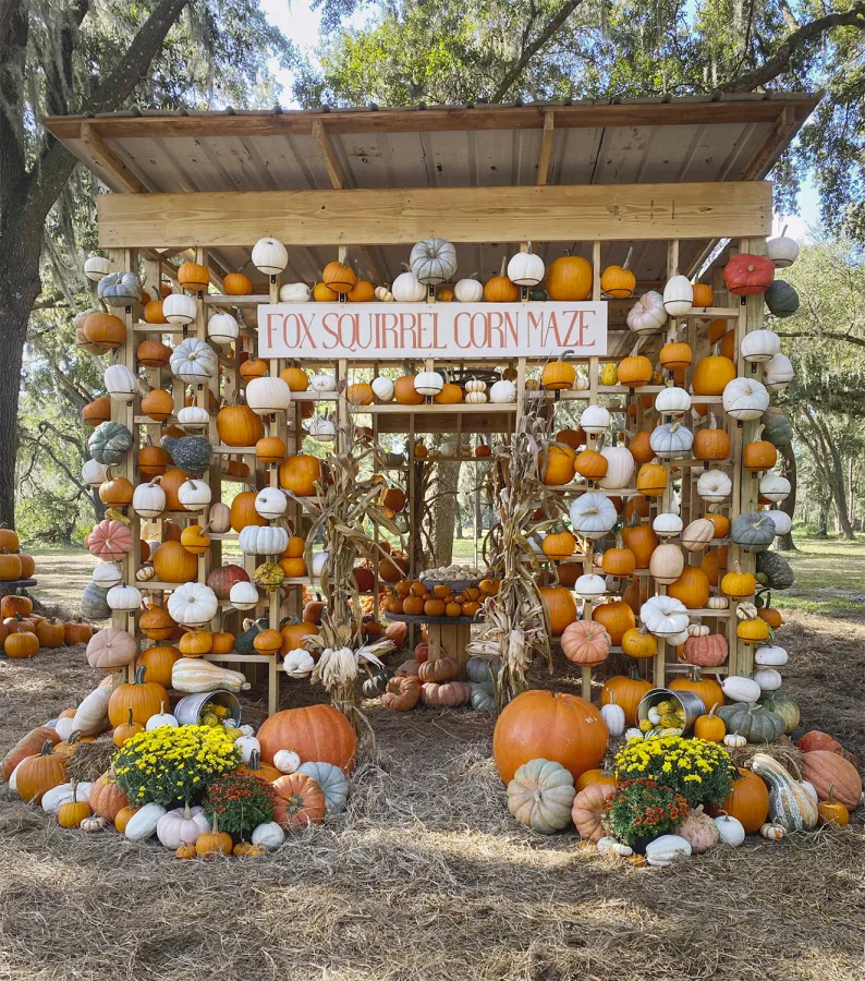 Fox Squirrel Corn Maze 2026 (Plant City) — official source image