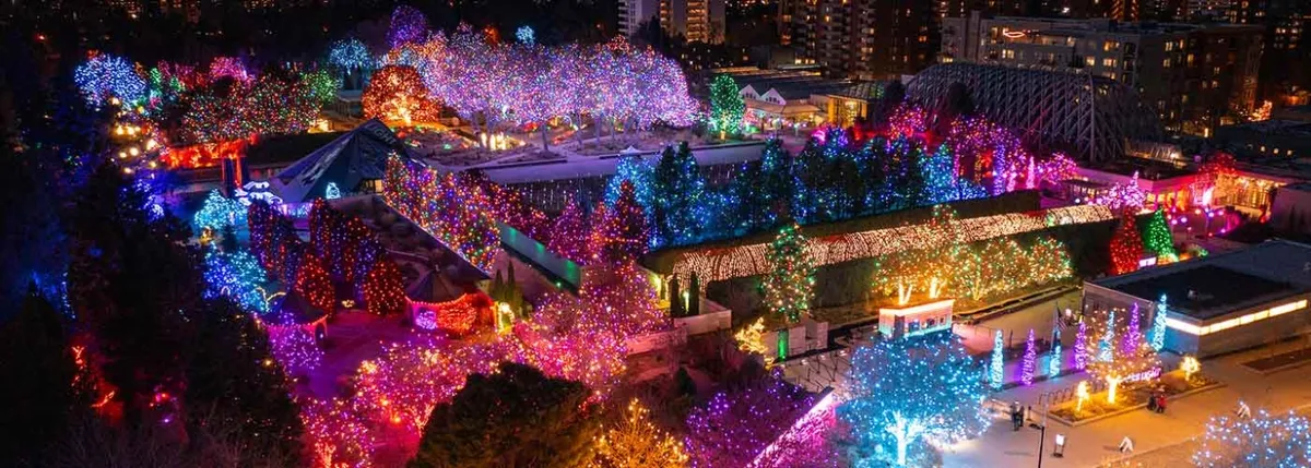 Blossoms of Light — official source image