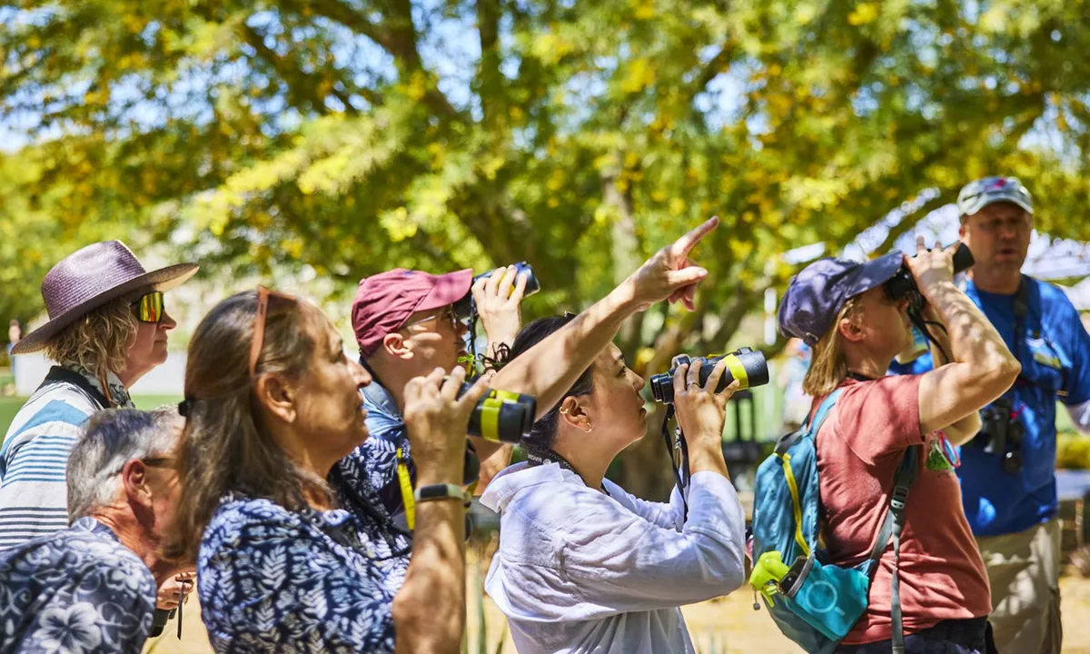 Spanish-Language Bird Walk for CV Days of Los Muertos (Sunnylands) — official source image