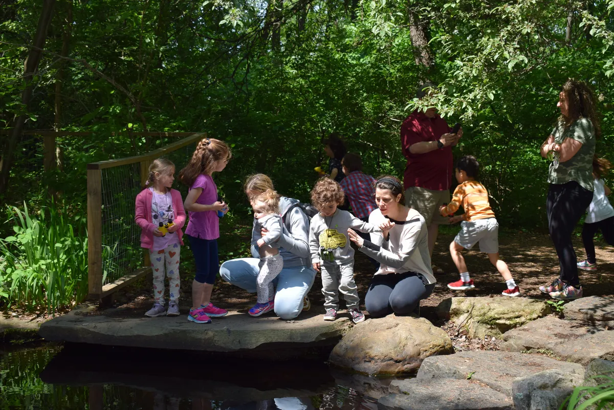 Outdoor Survival Family Program at Briar Bush — venue image