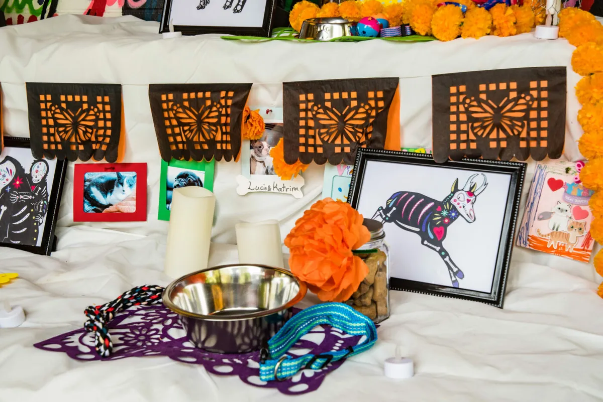 Beloved Pets Ofrenda at the L.A. Zoo — official source image
