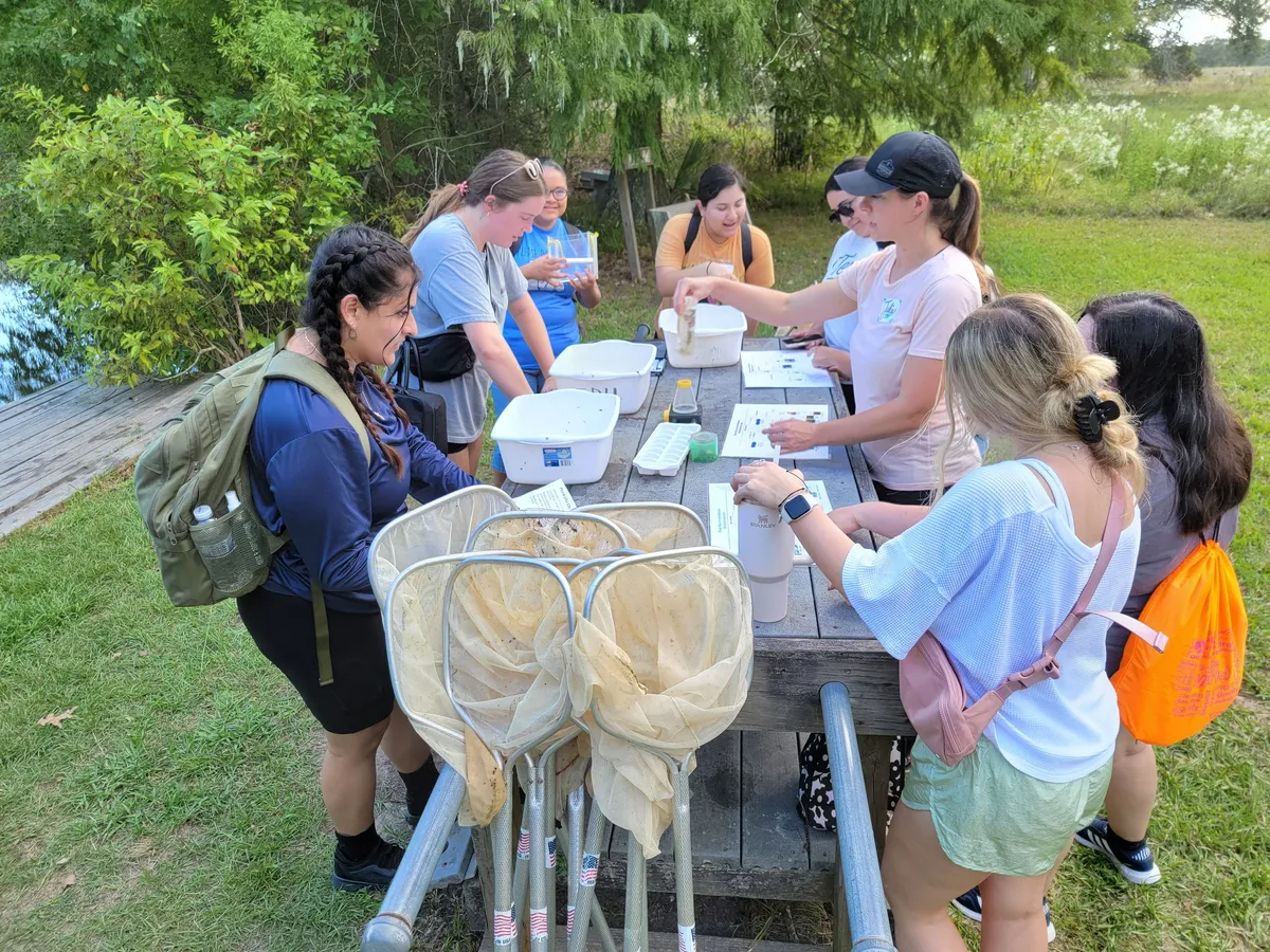 Family Pond Dip-netting — dates pending — program image