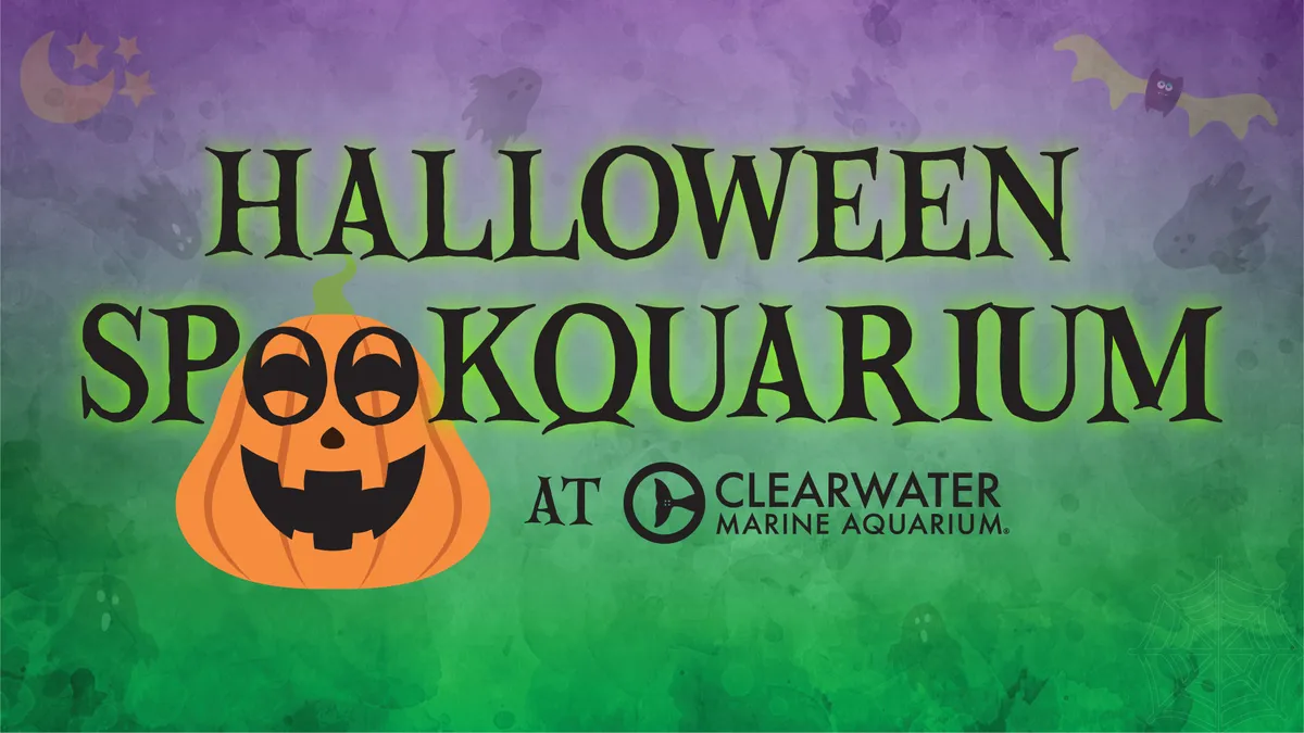 Halloween Spookquarium at Clearwater Marine Aquarium — official source image