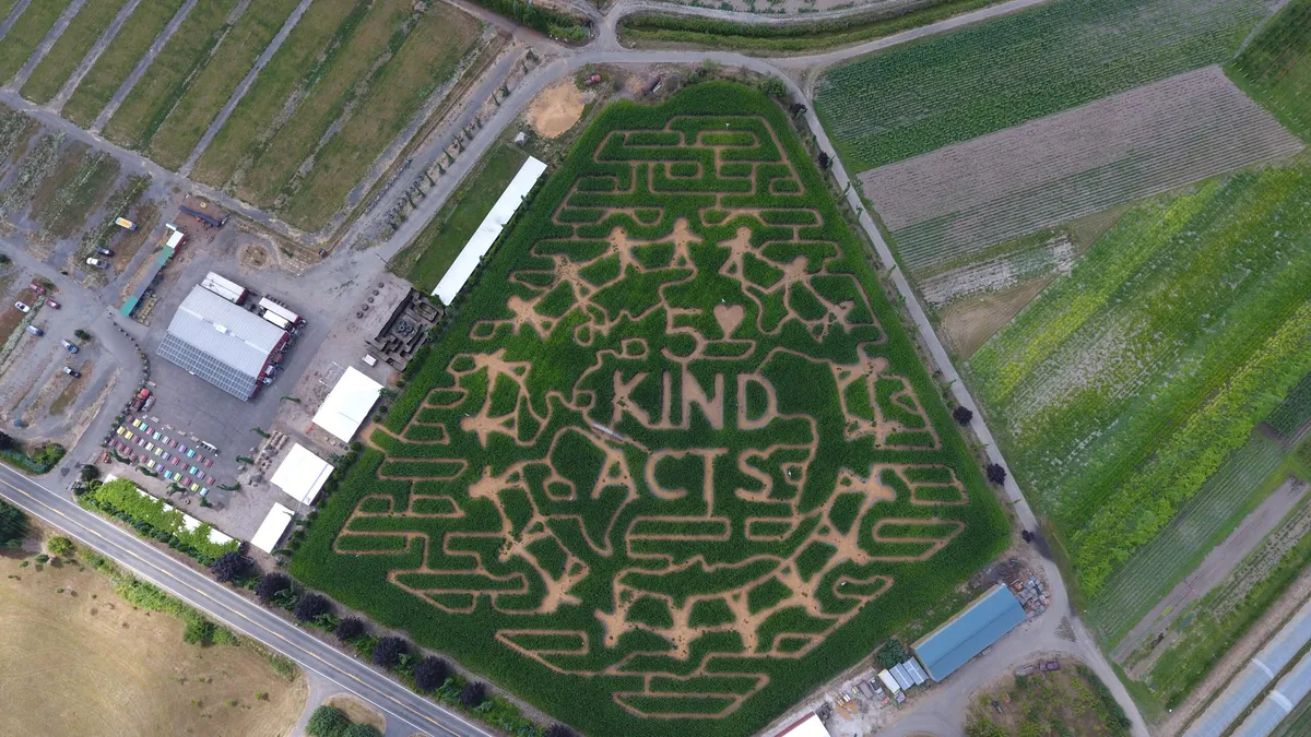 Bella Organic Pumpkin Patch & Corn Maze — official source image