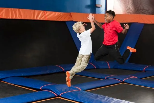 Sky Zone Maple Grove trampoline park (Toddler Zone, Freestyle Jump) — official source image