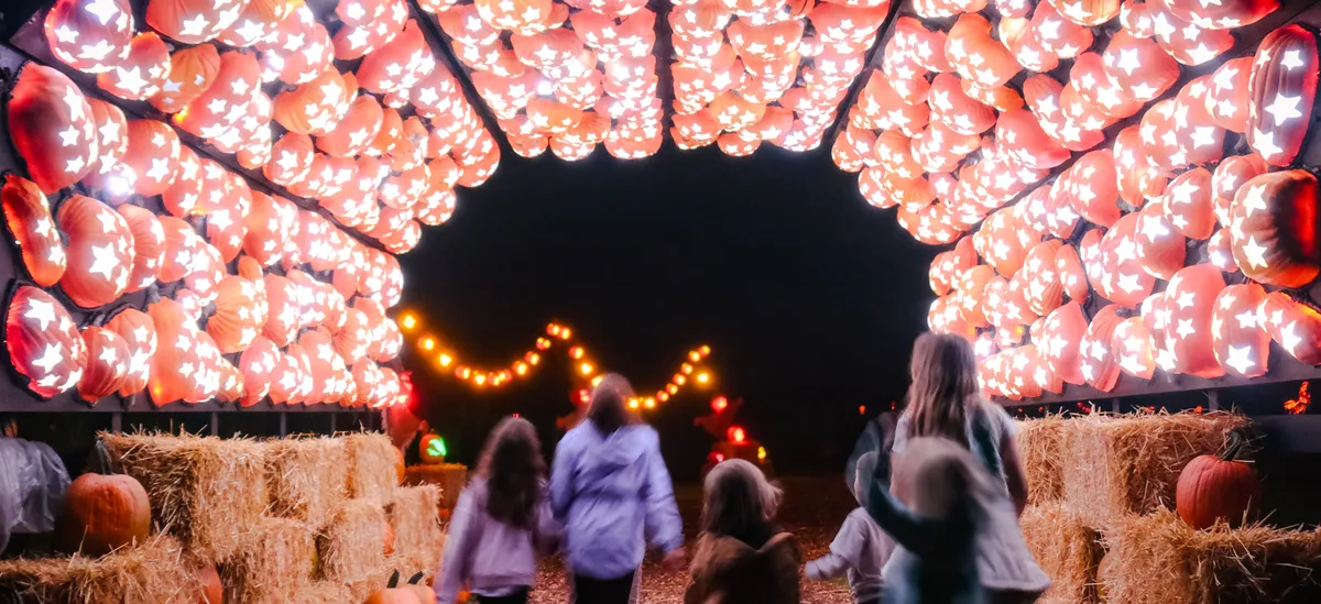 The Great Harvest Glow at Swans Trail Farms — official source image