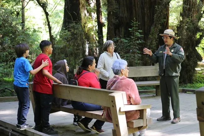 Into the Woods: free ranger-guided tour at Muir Woods (Fri–Mon) — program image