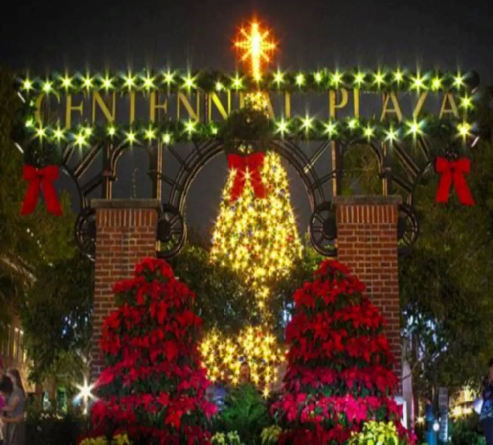 Light Up Winter Garden — official source image