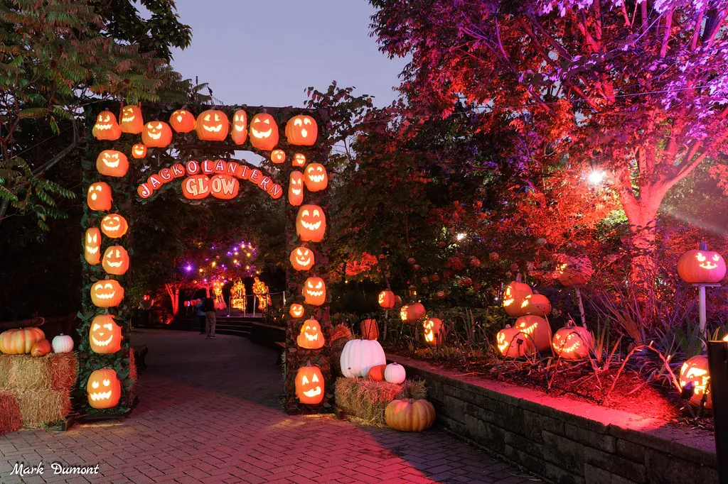 Jack O'Lantern Glow at the Cincinnati Zoo — official source image
