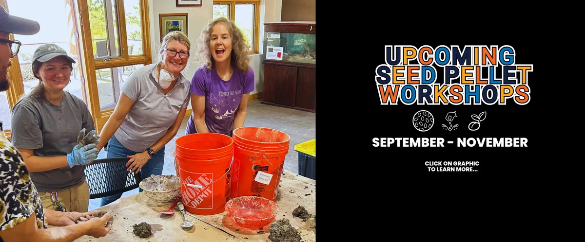 Discovery Station: Spooky Season Critters — Hassayampa River Preserve — venue image