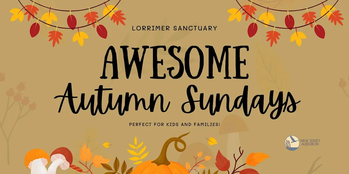 Awesome Autumn Sundays - Lorrimer Sanctuary — official source image