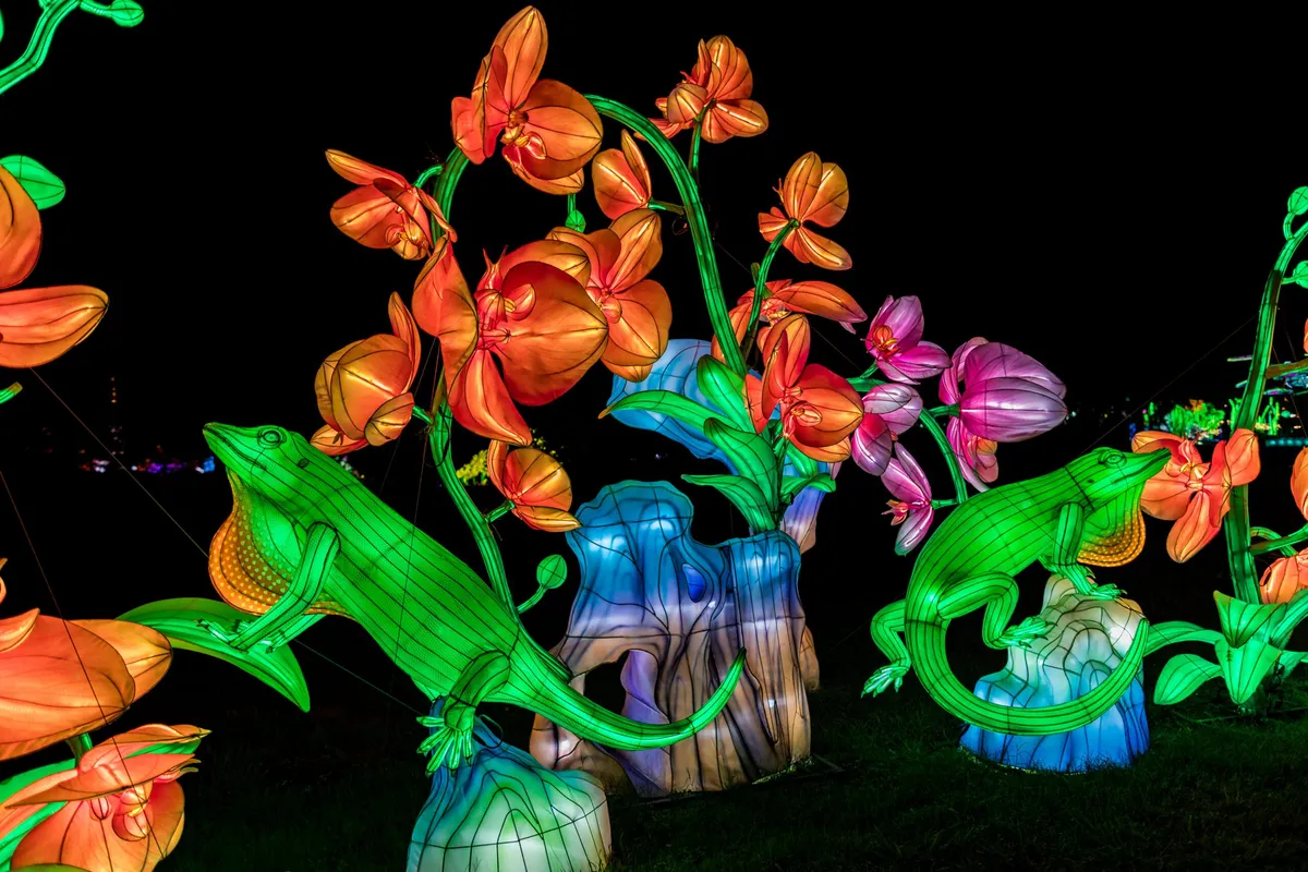 Bright Nights at Four Mile (lantern festival) — official source image