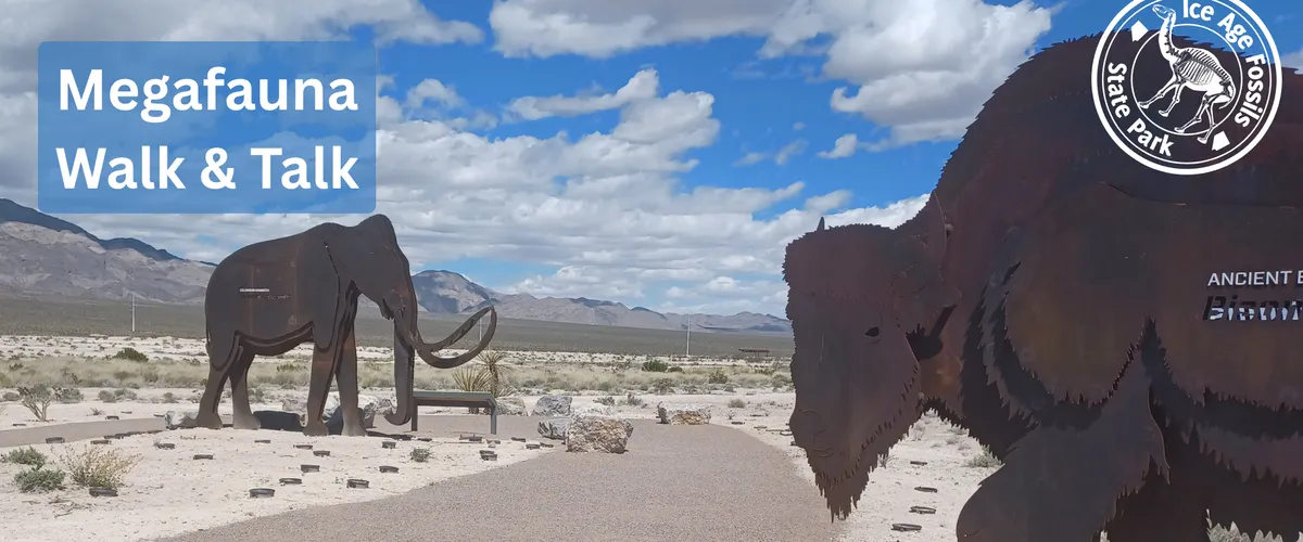 Megafauna Walk & Talk — official source image