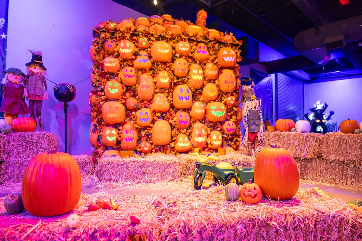 Pumpkin Palooza at Discovery Cube OC — official source image