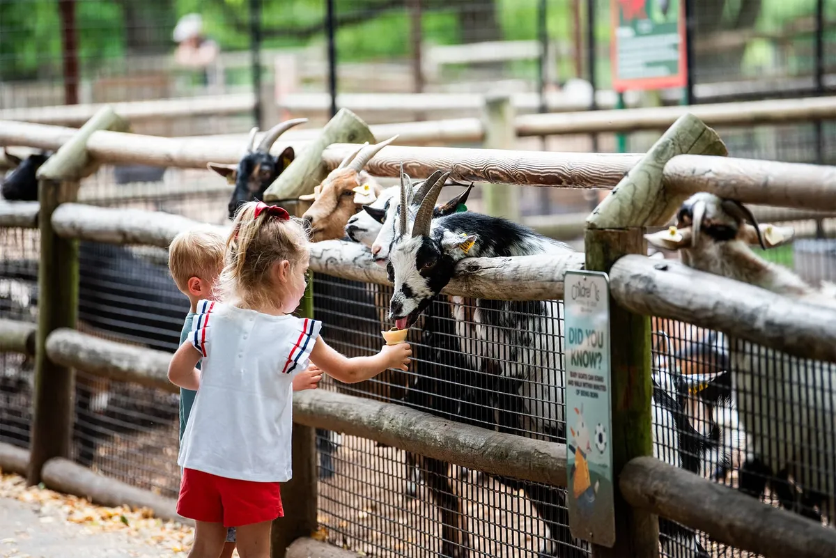 Grant's Farm — venue image
