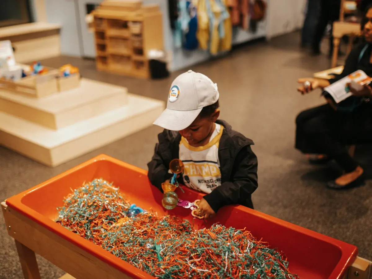 Discovery Room at the Science Center — program image
