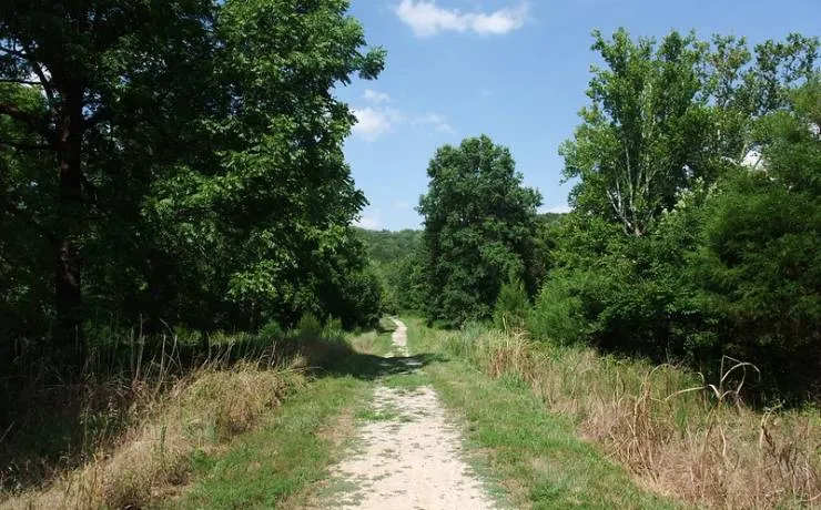 Route 66 Centennial Celebration at Route 66 State Park — venue image