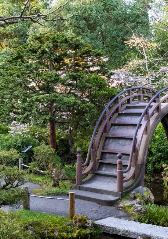 San Francisco Botanical Garden — official source image