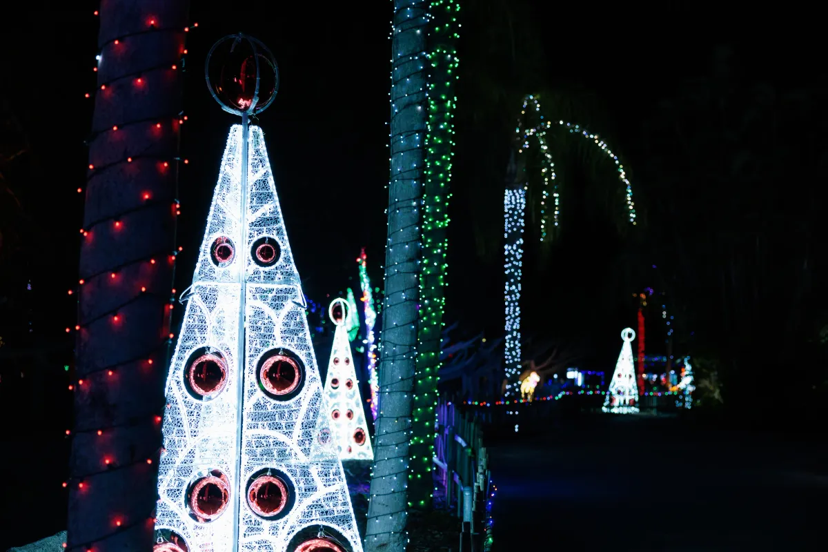Zoo Lights Miami — Selected Nights 2026 — official source image