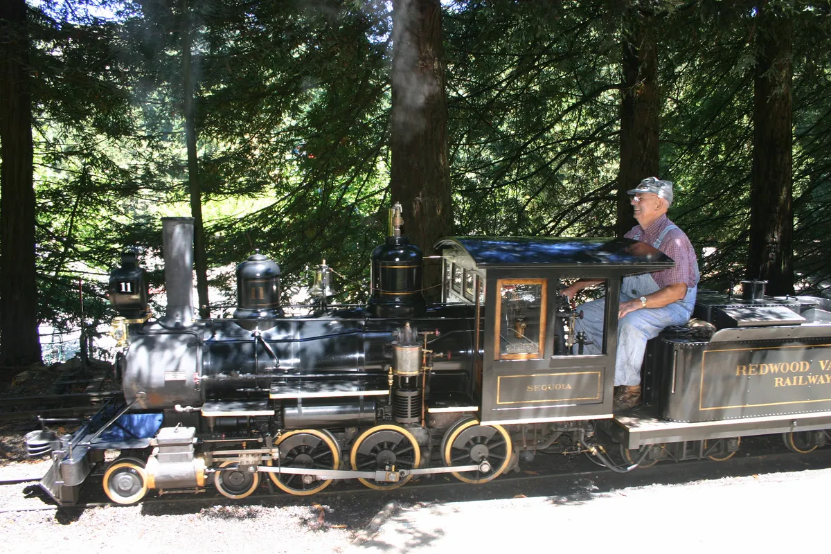 Tilden Steam Train (Redwood Valley Railway) — official source image