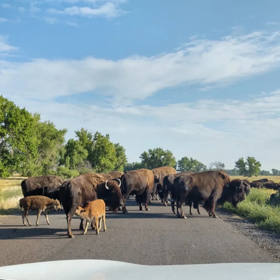 Rocky Mountain Arsenal National Wildlife Refuge — official source image