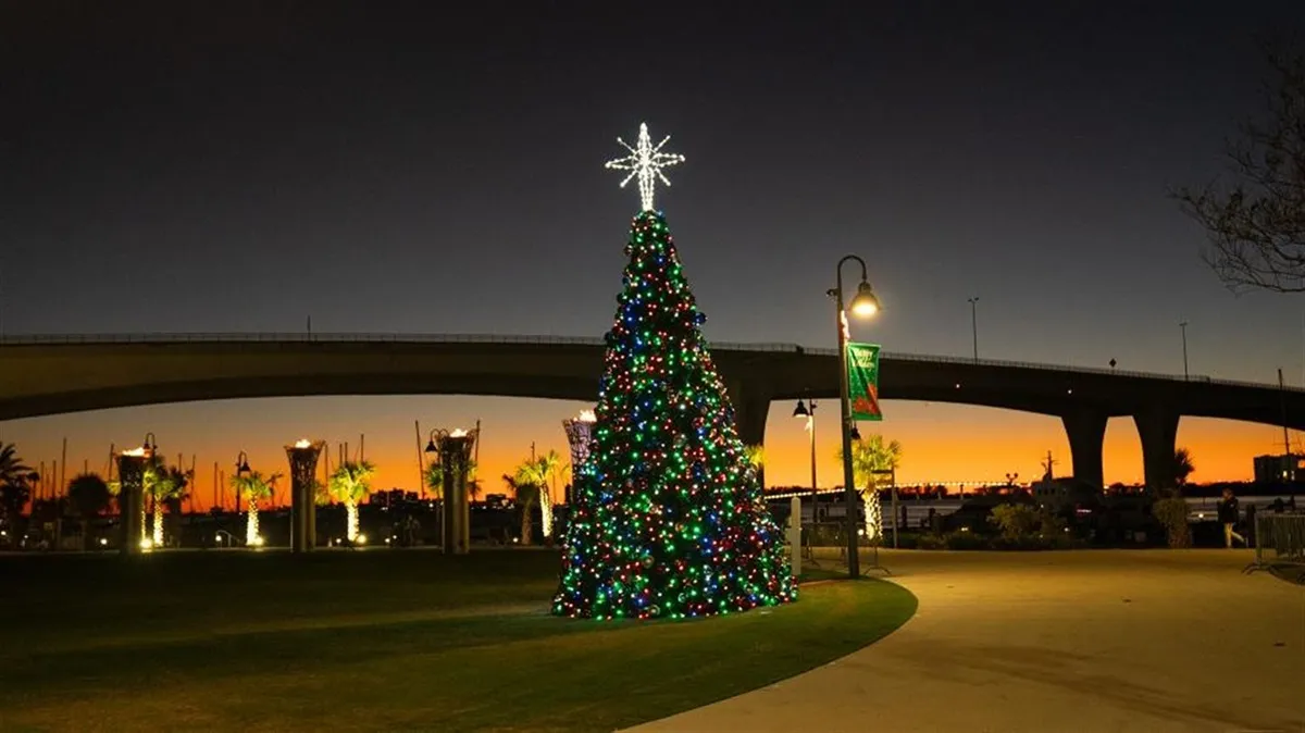 Clearwater's Bright and Beautiful Tree Lighting — official source image