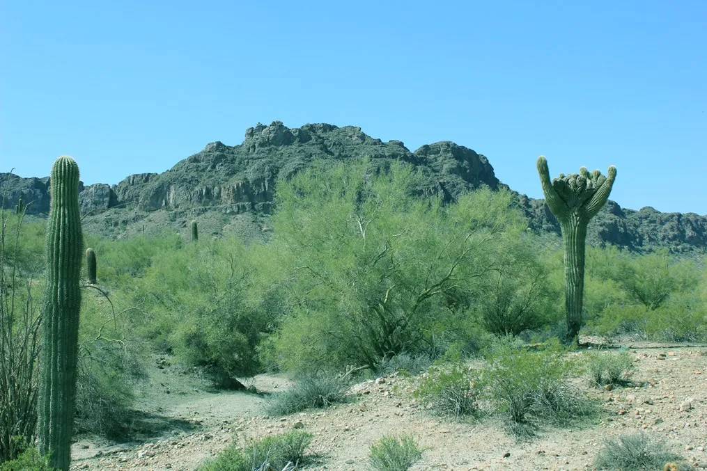 Thanksgiving Pre-game Hike — San Tan Mountain — venue image