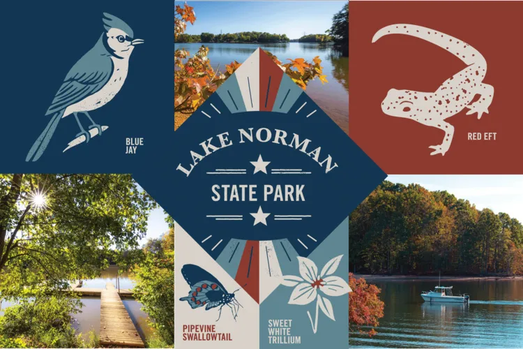 Community Day: Conservation Stations! at Lake Norman State Park — venue image