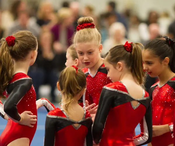 Birons Youth Gymnastics, Ninja and Aerial Classes — program image