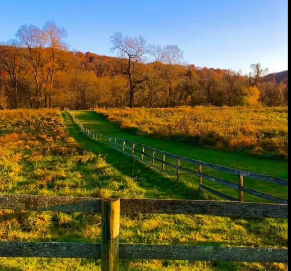 Halloween Trail Trek (Cromwell Valley Park) — official source image