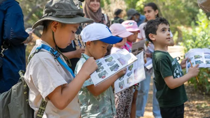 Jr. Ranger Adventure: Aliso and Wood Canyons — official source image