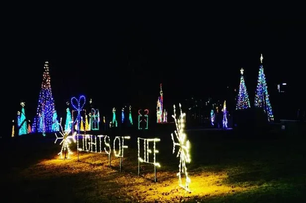 Lights of Life 2026 — Life University drive-through lights — official source image