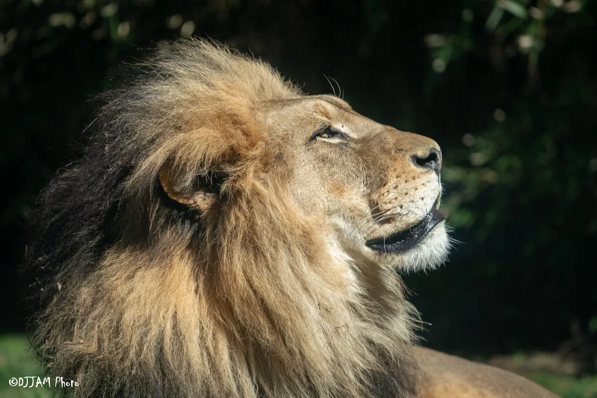 Cincinnati Zoo & Botanical Garden — official source image
