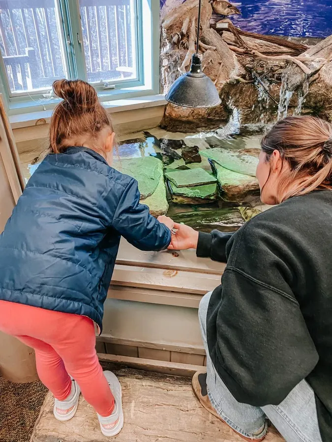 Family Feed at the Anita C. Leight Estuary Center — program image