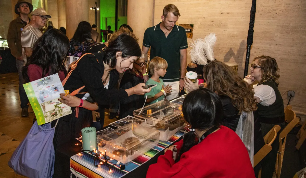 Frightful Fun: Halloween Activities at the Museum — official source image