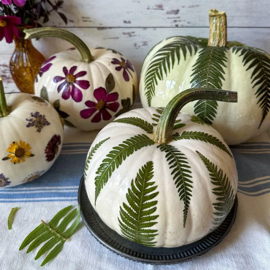 DIY Botanical Pumpkins 2026 — official source image