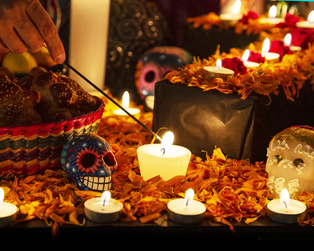 Día de los Muertos: Taller de calaveras de azúcar / Day of the Dead: Sugar Skull Decorating — venue image