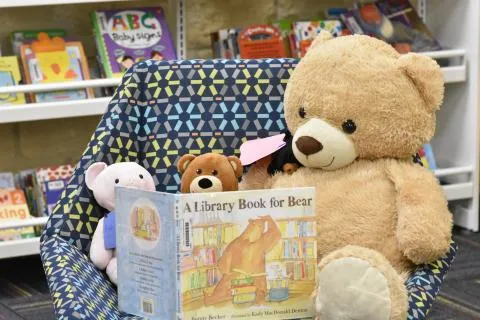 Stuffed Animal Sleepover at Mammen Family Public Library — official source image