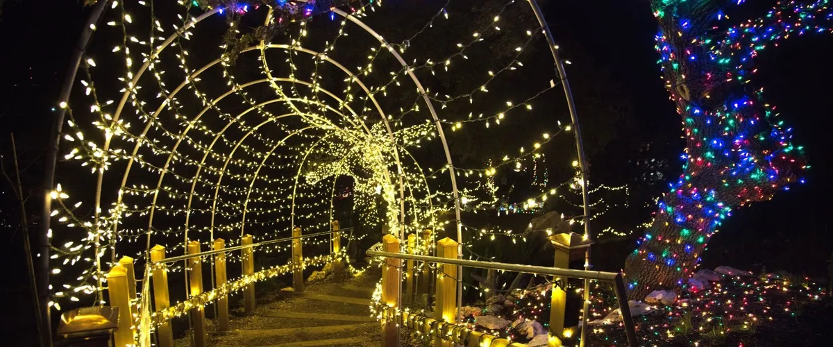EmilyAnn Trail of Lights 2026 — official source image
