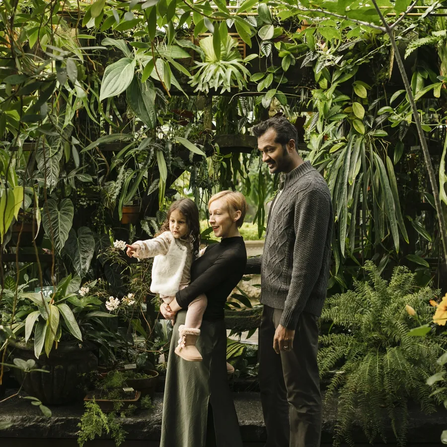 Free First Tuesday at the Conservatory of Flowers — official source image