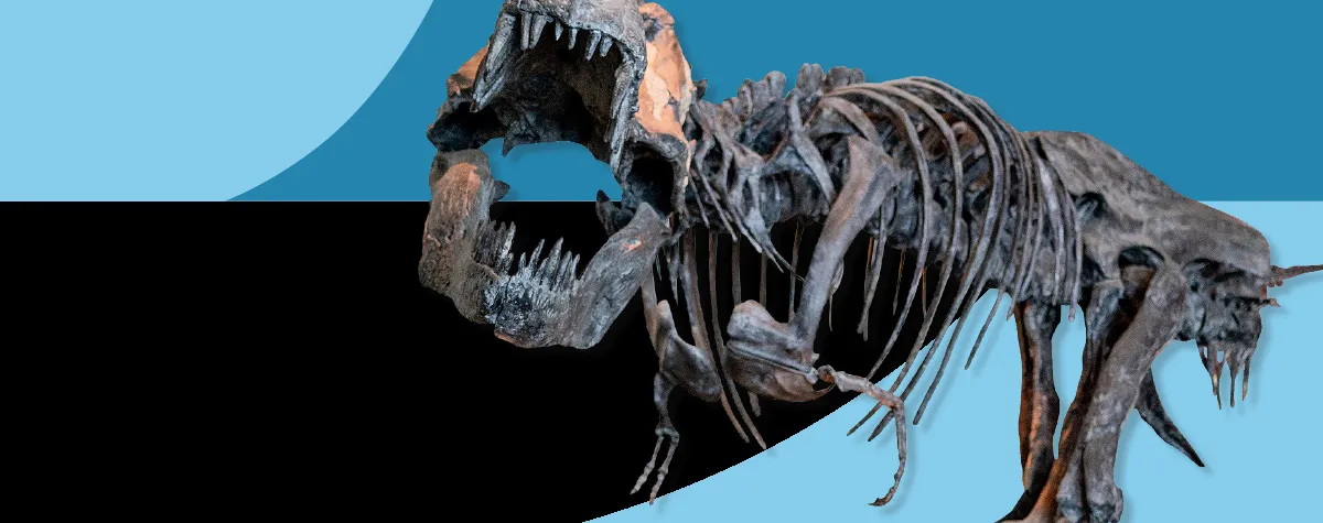 Discovery Days: Turkey and T. rex — Thanksgiving Break at Cranbrook Institute of Science — venue image