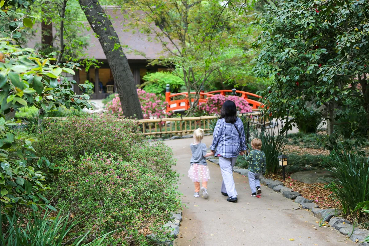 Homeschool Day: Monarchs & Migration — official source image