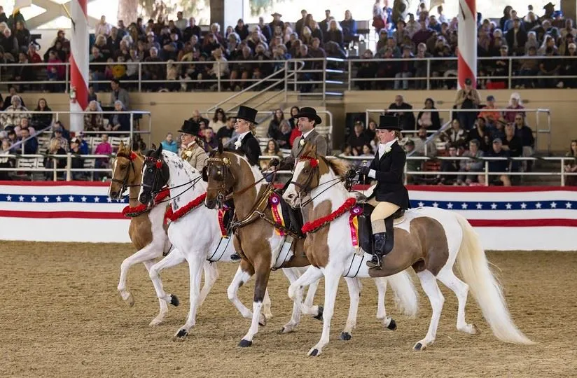 Equestfest — official source image