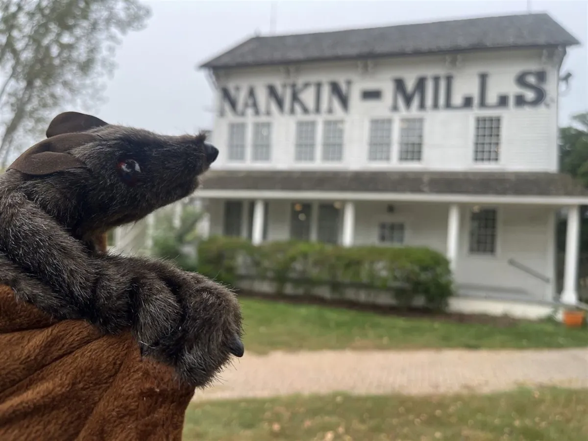Nankin Mills Players Puppet Show — official source image