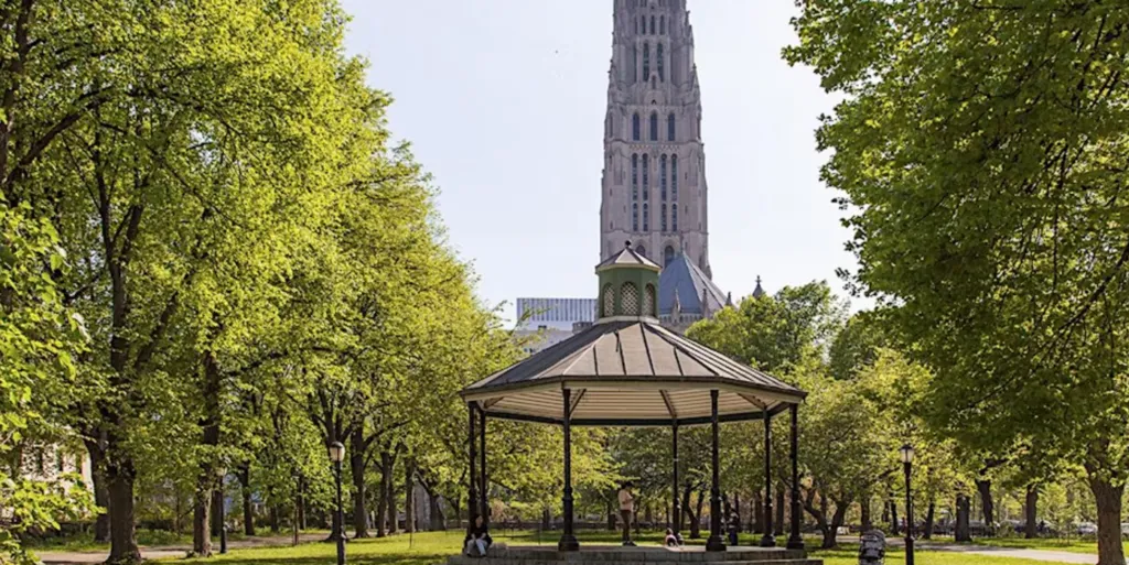 ¡EN ESPAÑOL! Tree Club del Bosque de West Harlem — venue image