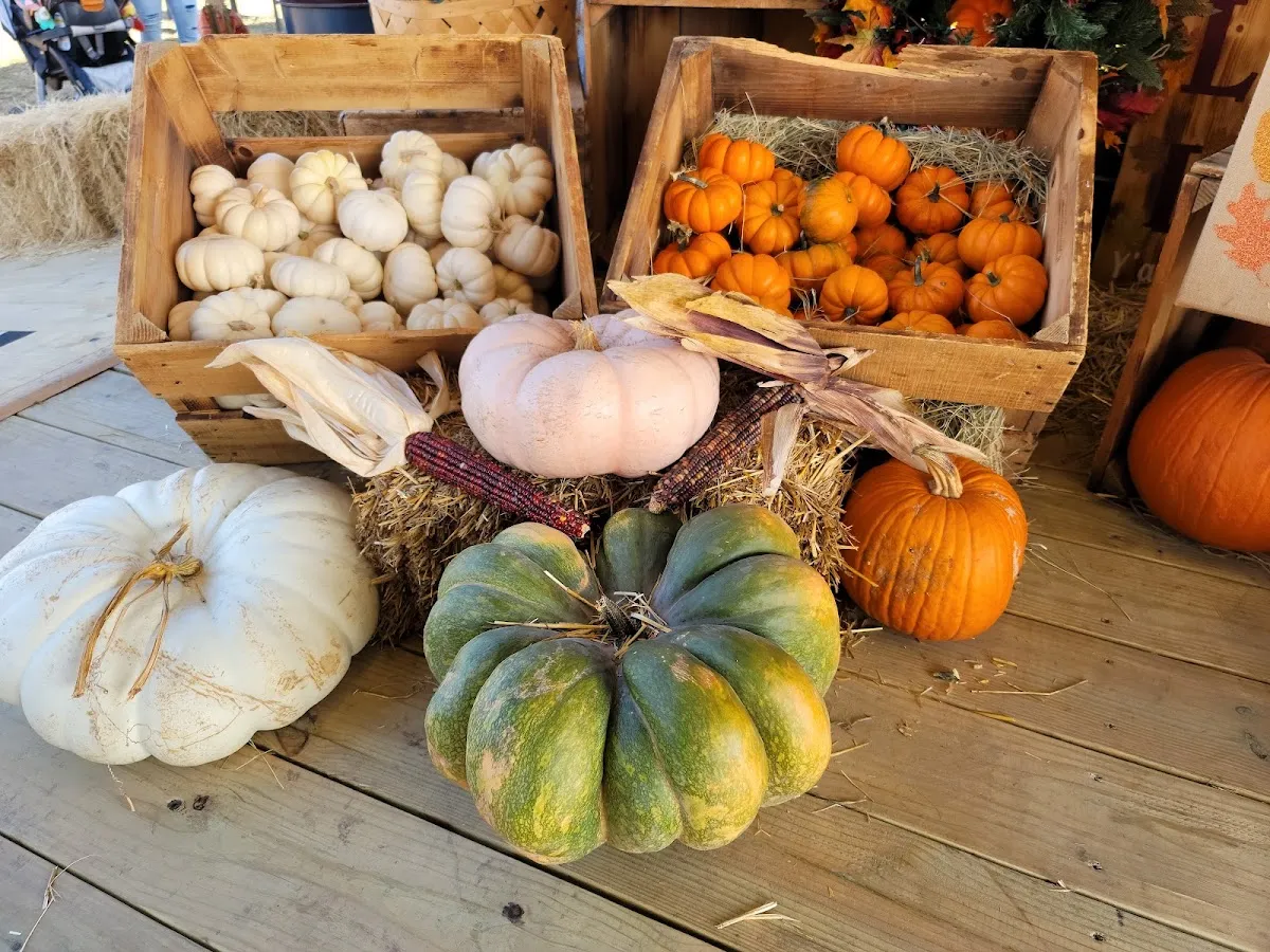 Mama Mary's Farm & Pumpkin Patch – Fall 2026 — official source image